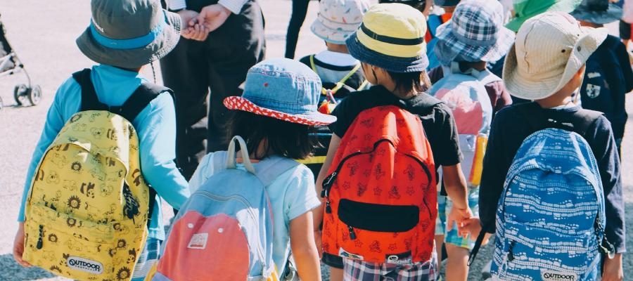 Análise do início do ano letivo 2024/2025